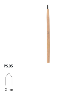 PS5 RGM