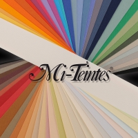 Fogli Canson Mi Teintes 160gr A4