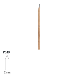 PS10 RGM
