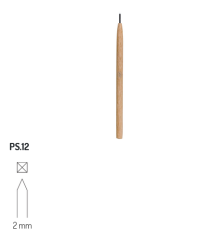 PS 12 RGM